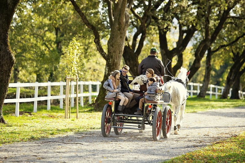 tour slovenia