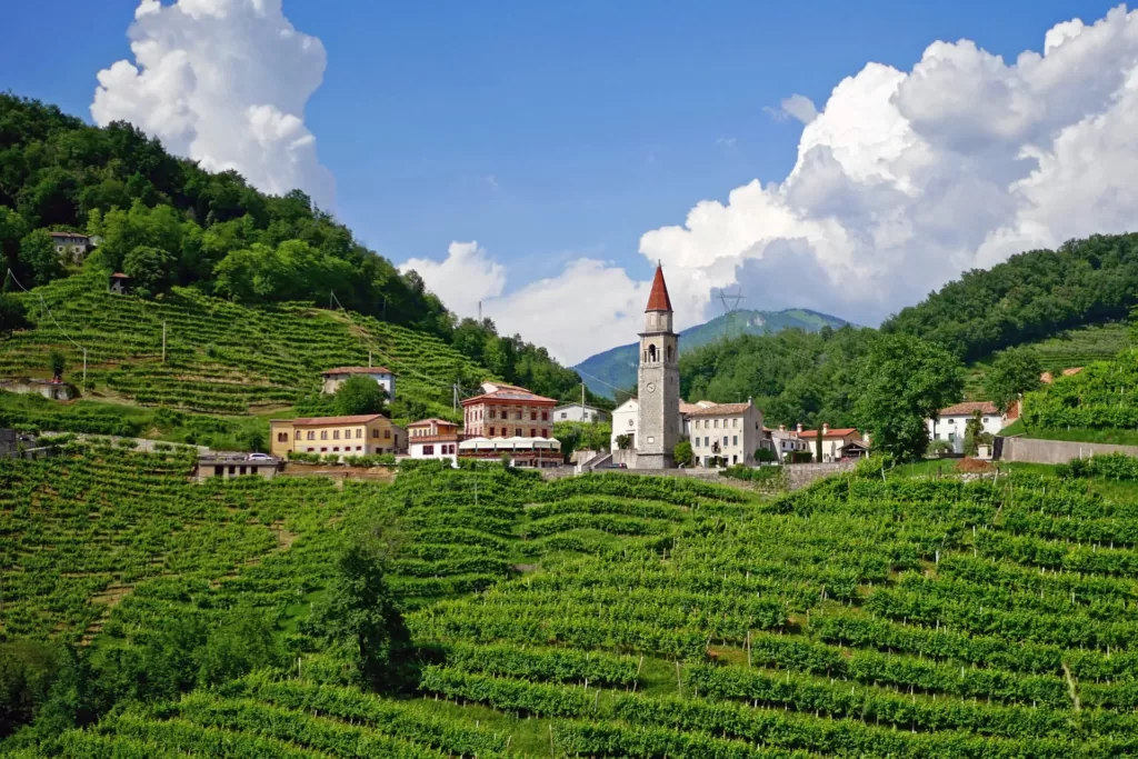 VALPOLICELLA VALLEY TOUR