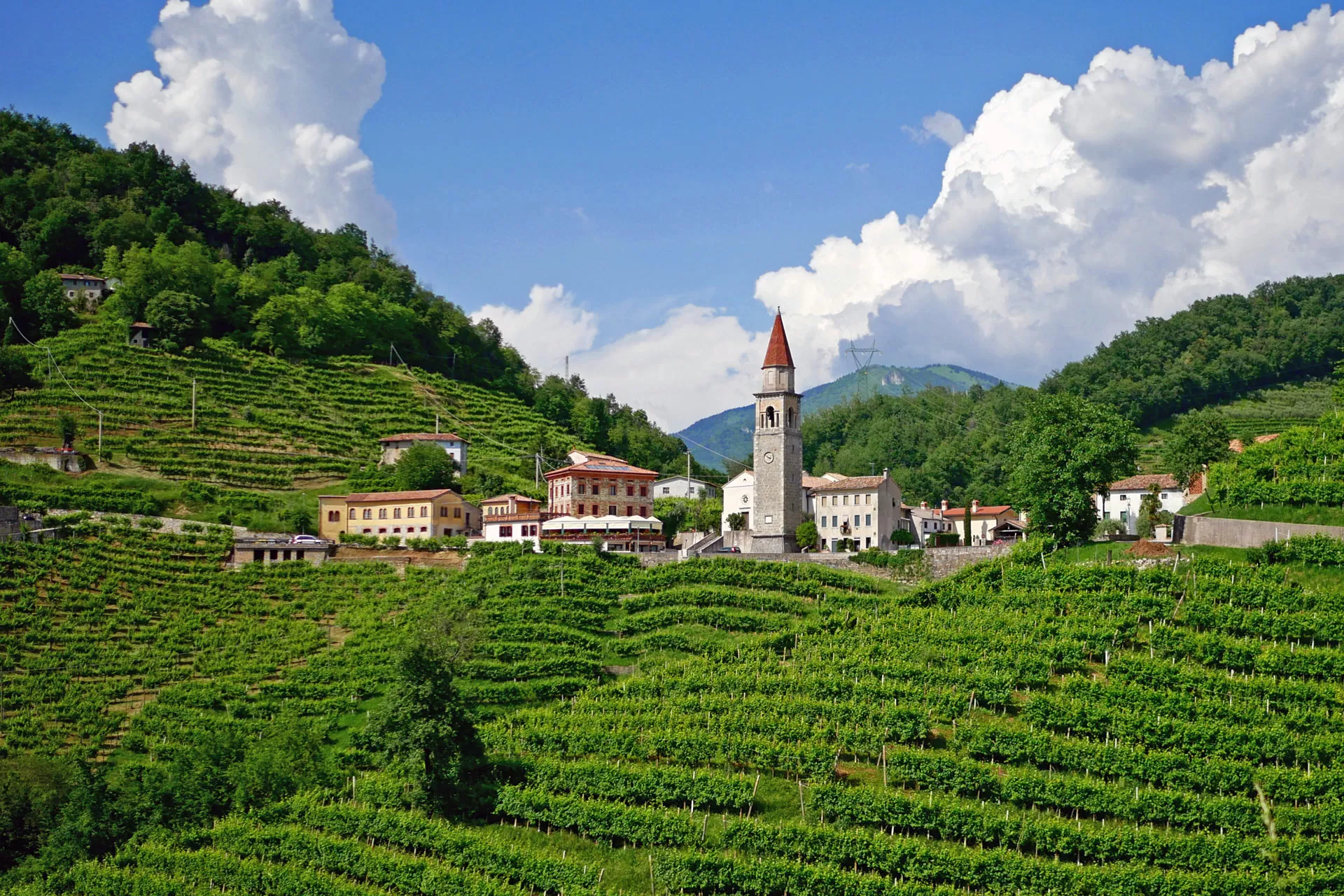 VALPOLICELLA VALLEY TOUR
